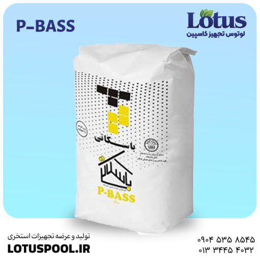 ملات چسب سنگ باسکاتی P-BASS - نصب سنگ با چسبندگی و مقاومت بالا