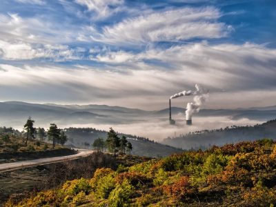 image-800-83bfd78558a9db91c1b3c3659fa22cf3